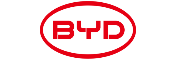 01. BYD_Founding Partner