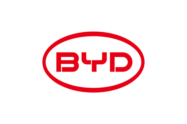 01. BYD_Founding Partner